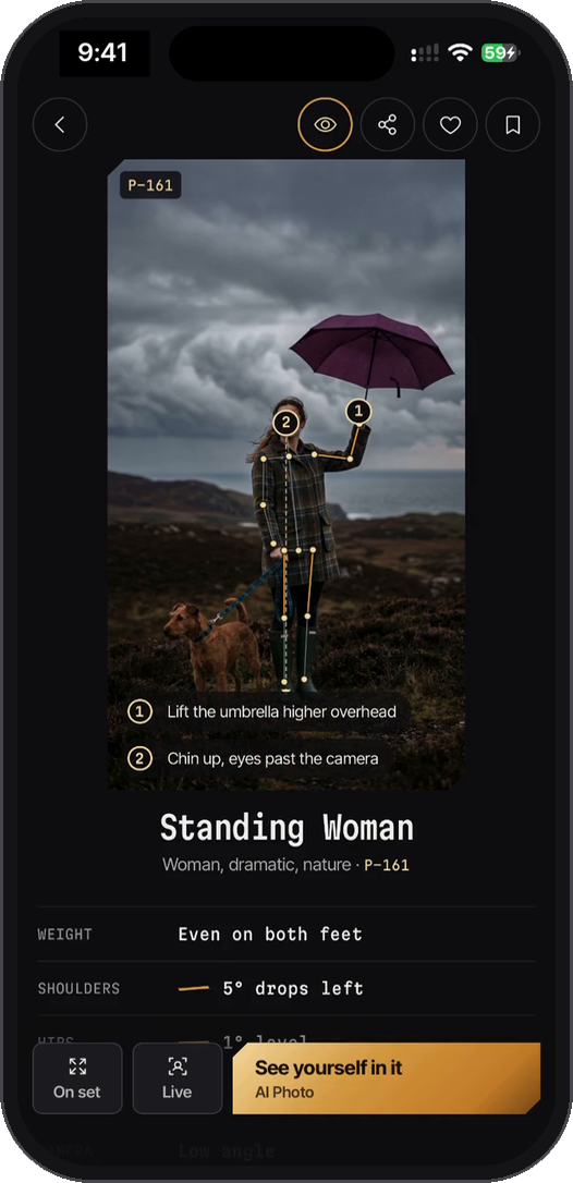 Guide Lines